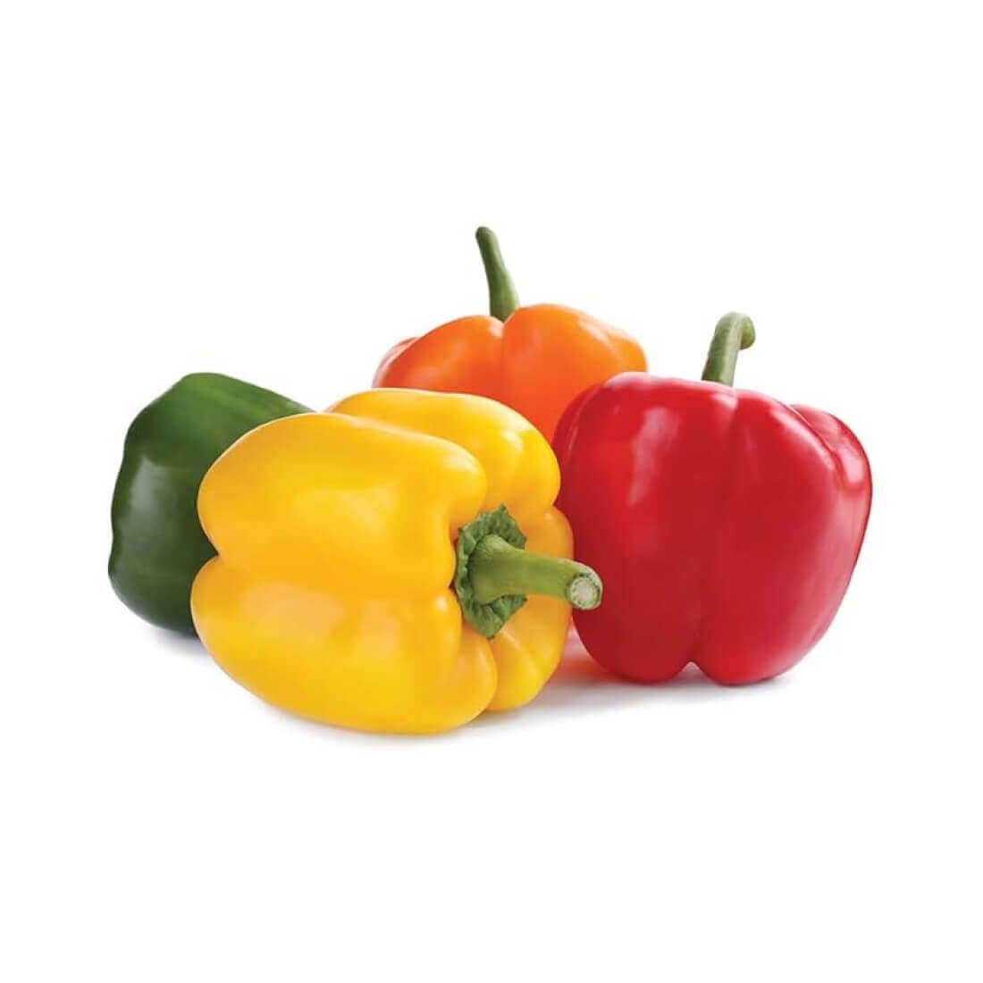 Image-product-10.jpg